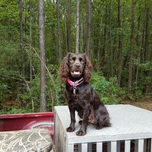 Meet your Posher, Marla